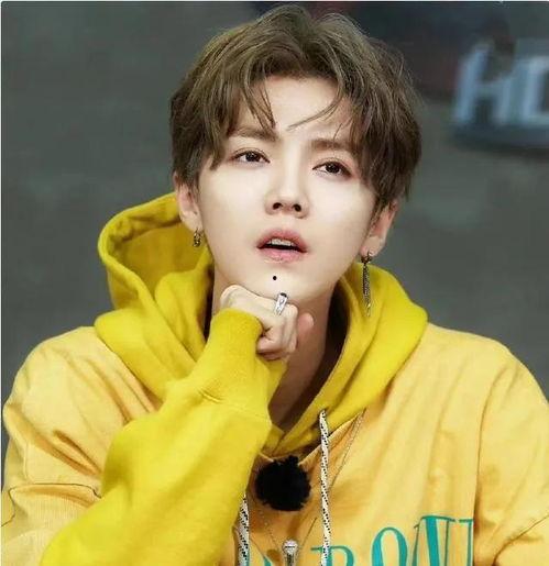 爆料鹿晗割韭菜视频,揭秘网络爆料视频背后的真相